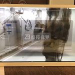 透明LED屏制作方案在優(yōu)化用戶體驗(yàn)方面具備哪些創(chuàng)新優(yōu)勢(shì)？